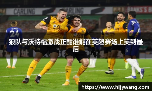 狼队与沃特福激战正酣谁能在英超赛场上笑到最后